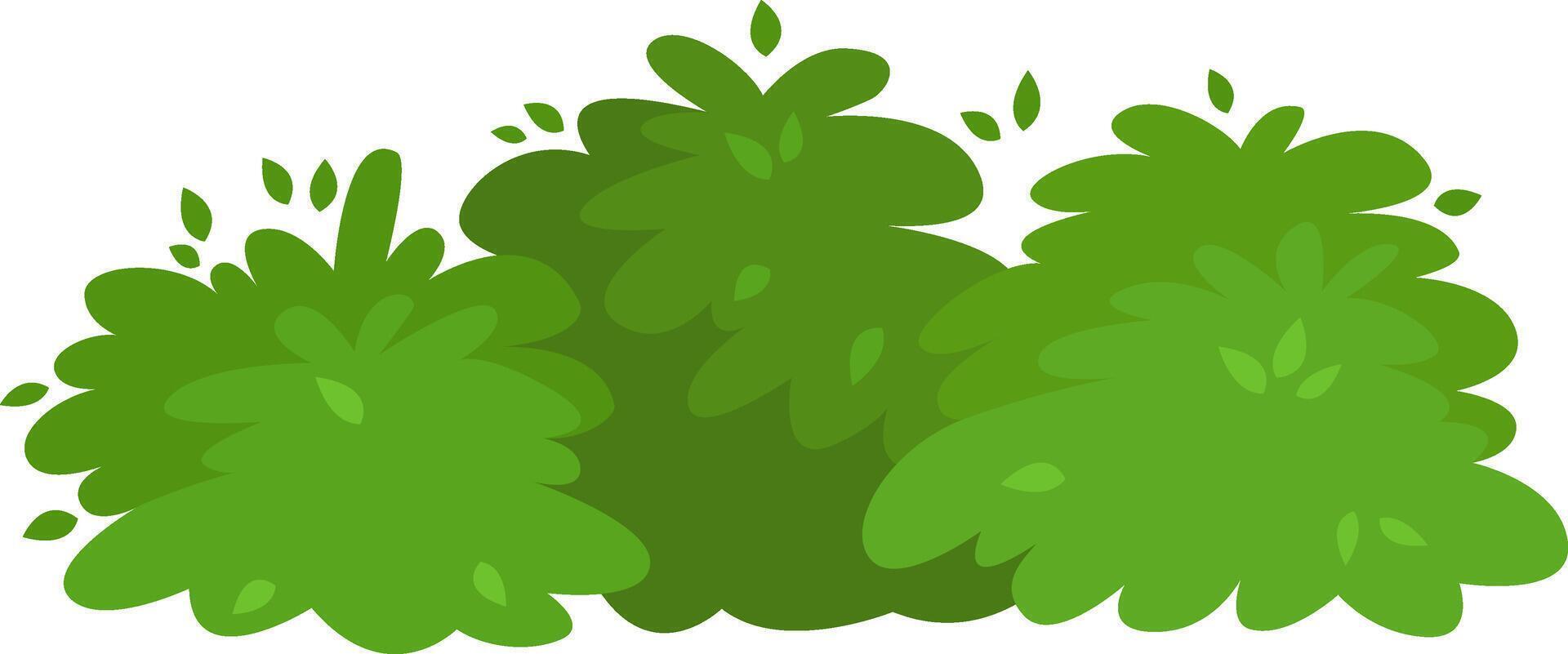Lush green bushes are growing together, creating a vibrant and natural scene perfect for representing spring or summer, with small leaves adding detail to the foliage vector