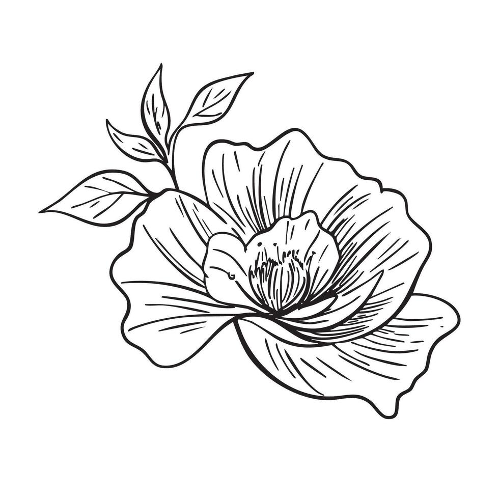 Hand drawn abstract flower and branch. illustration. Black and white. Flower vintage sketch. Engraved image for desin, packaging, flyer vector
