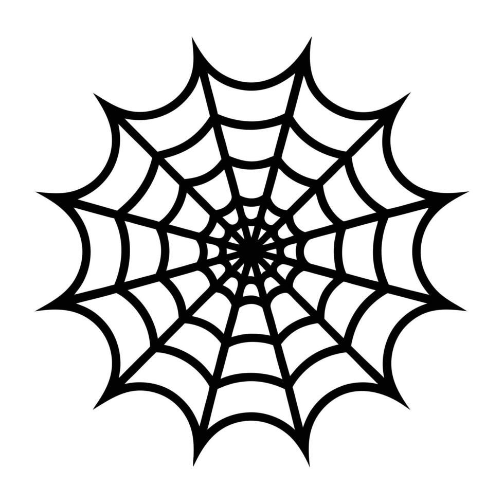 spider web illustration white background. vector