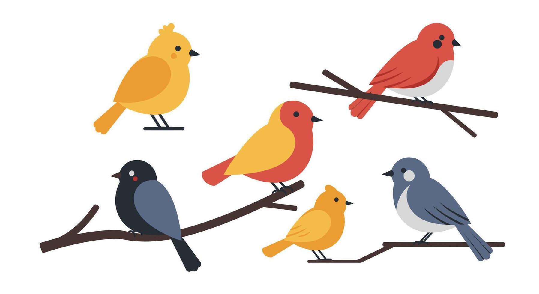 bird set of colorful birds on tree branches illustration vector