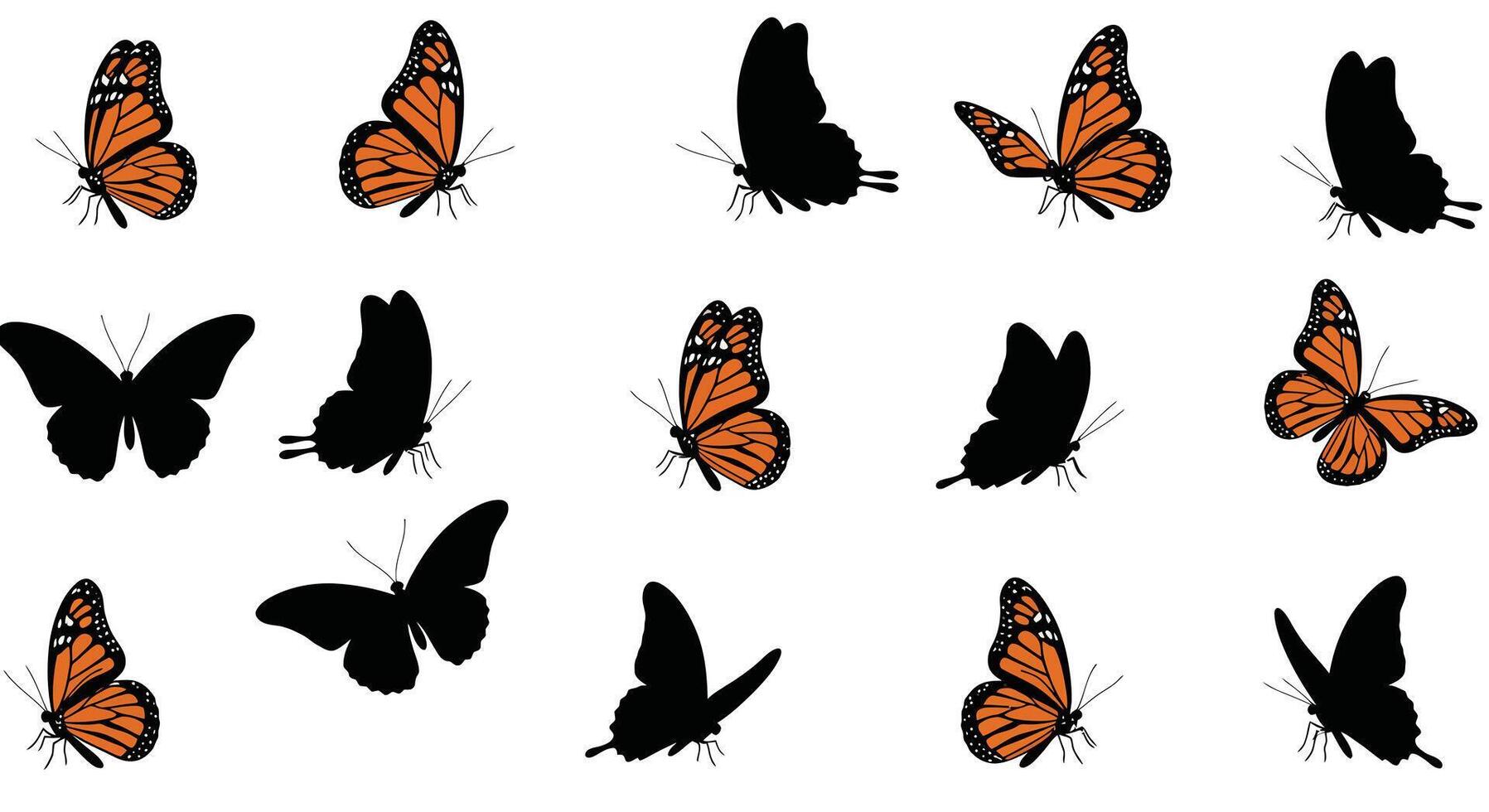butterflies in various poses on a white background vector