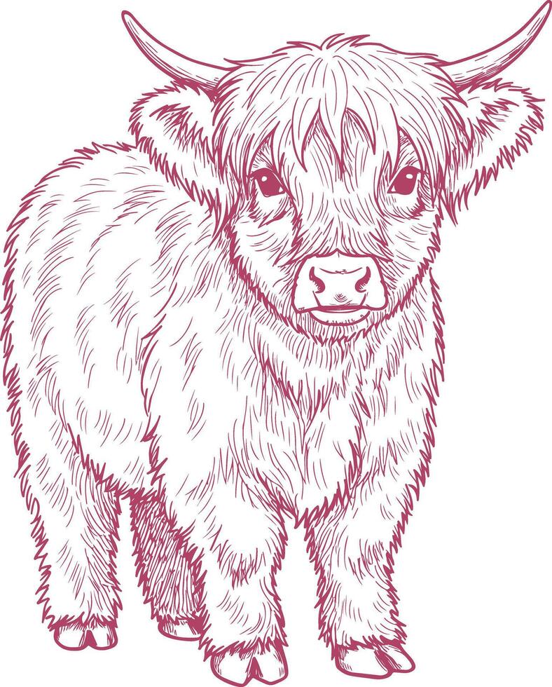 Standing Baby Highland Cow with Bangs - Cute Fluffy Farm Calf Illustration vector