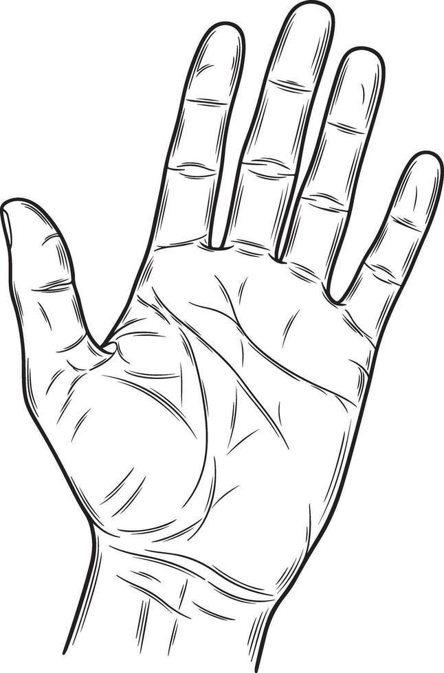 Vintage Illustration of an Outstretched Hand with Open Palm in Detailed Stipple Engraving Style vector