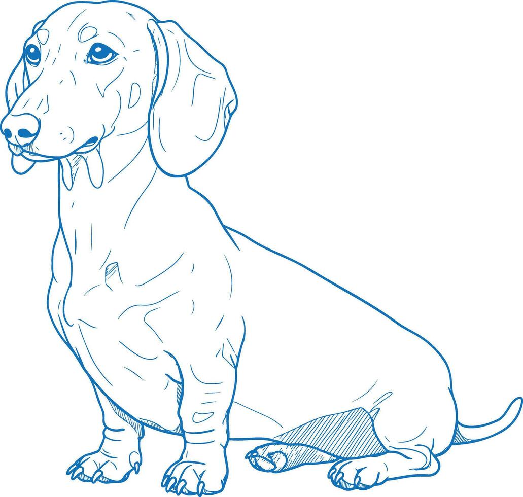 Vintage-style sitting Dachshund dog hand-drawn in line art illustration with expressive facial features vector