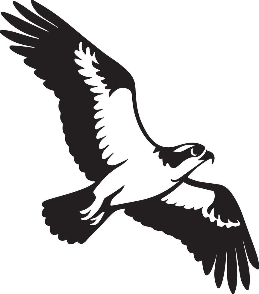 Powerful osprey in flight silhouette design, Flying fish hawk black and white art vector