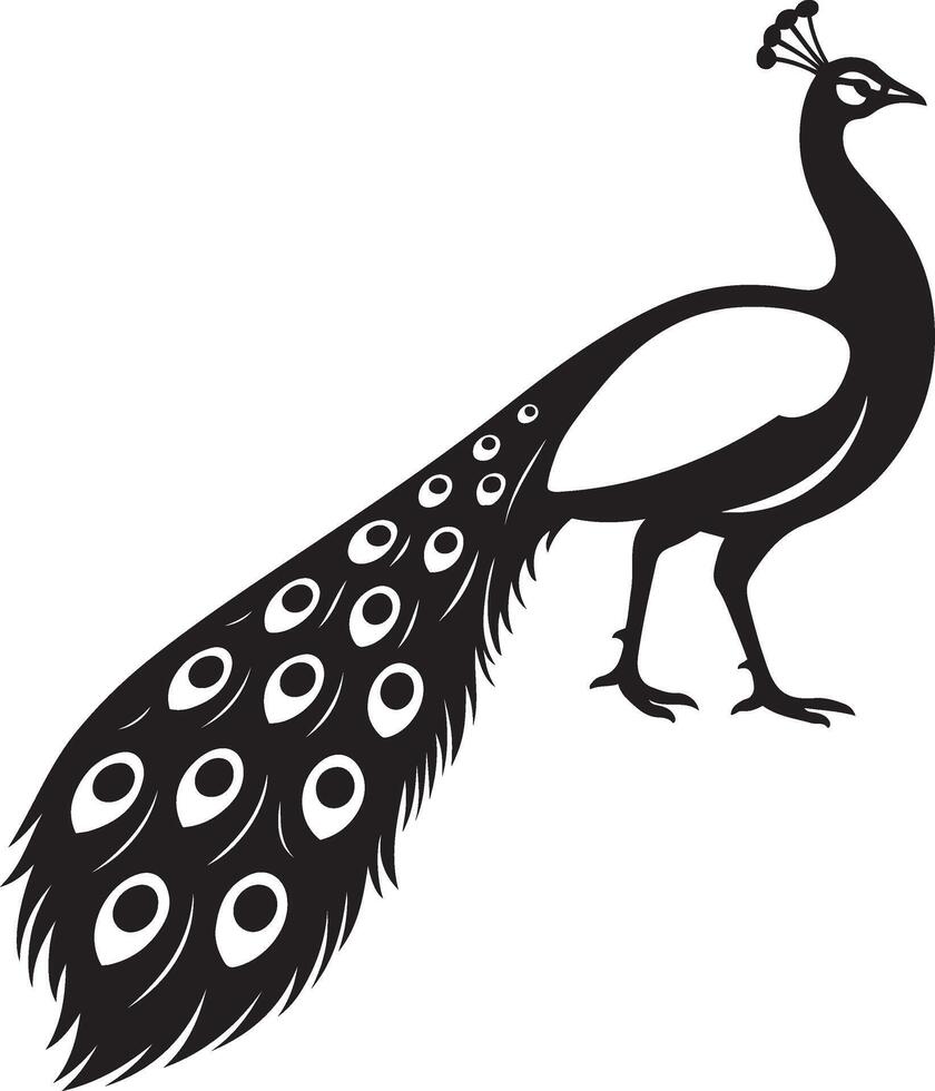 Peacock black and white silhouette elegant, Majestic bird with open tail drawing vector