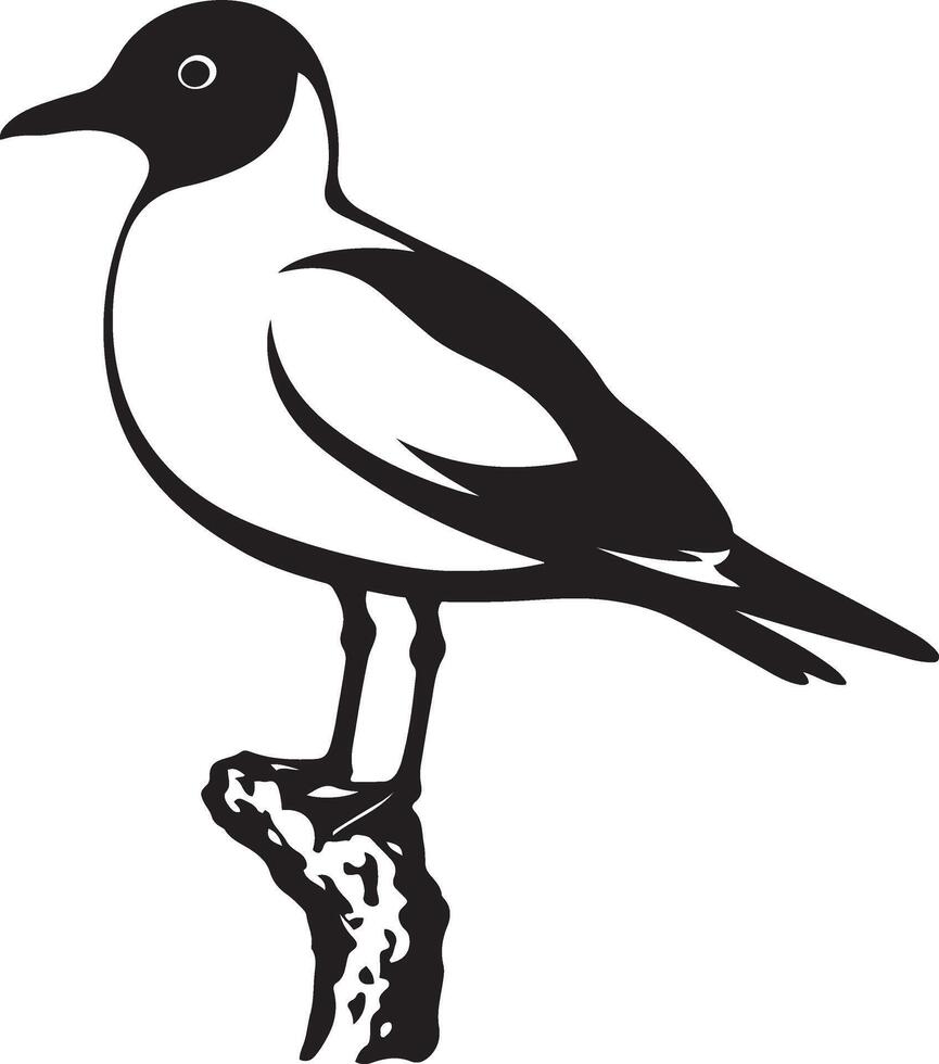Seagull perched on branch bird silhouette, Seabird resting silhouette black and white vector