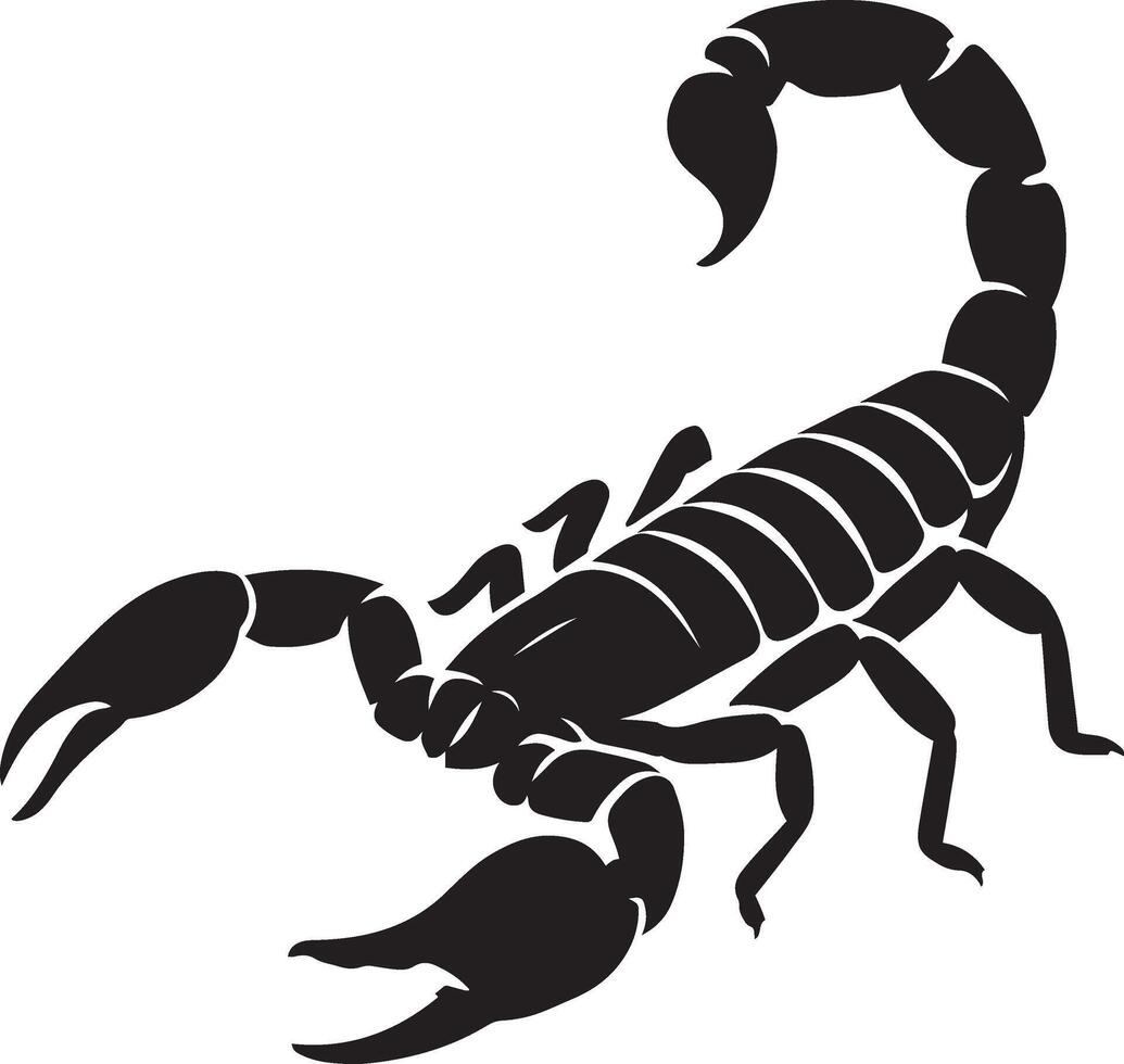 Scorpion bold silhouette black and white style, Desert creature graphic drawing vector