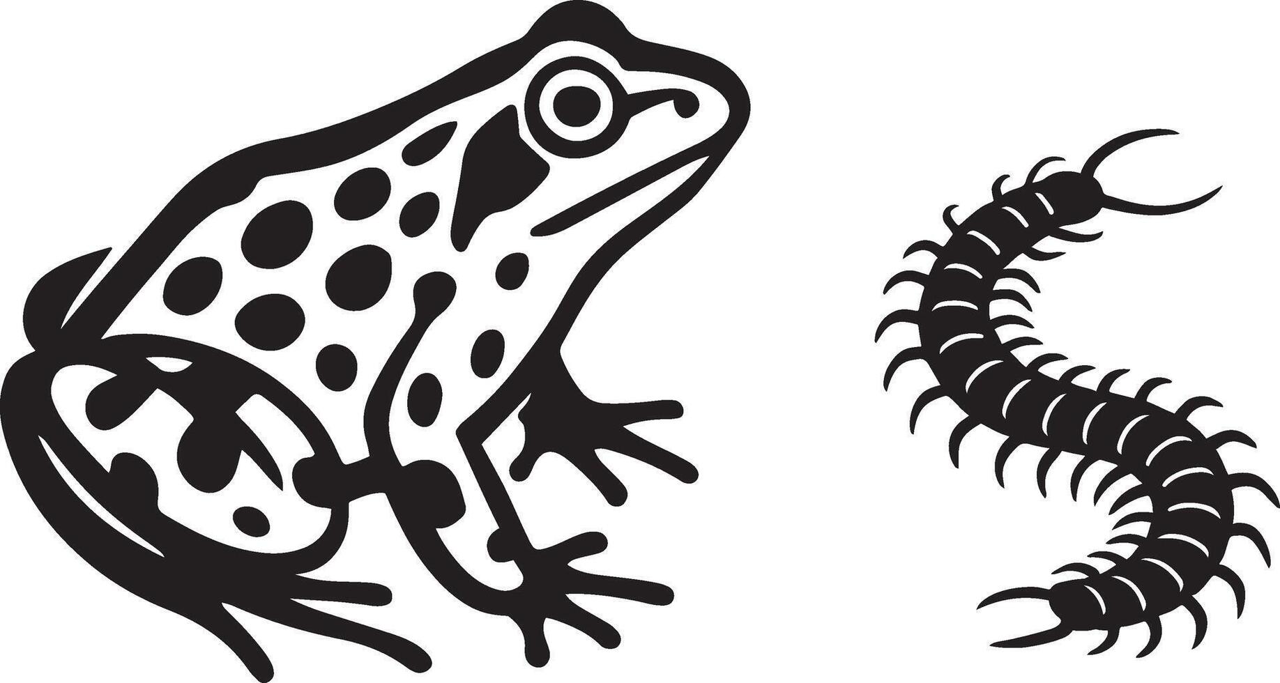 Frog and centipede black and white drawing, Simple nature creatures design vector