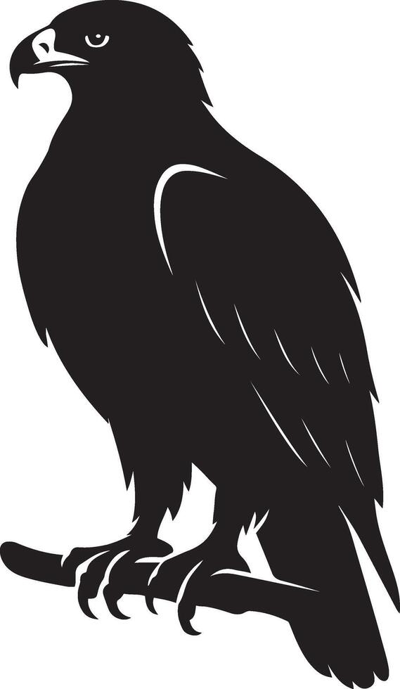 Majestic silhouette of an eagle perched on a branch, Resting raptor in elegant pose vector