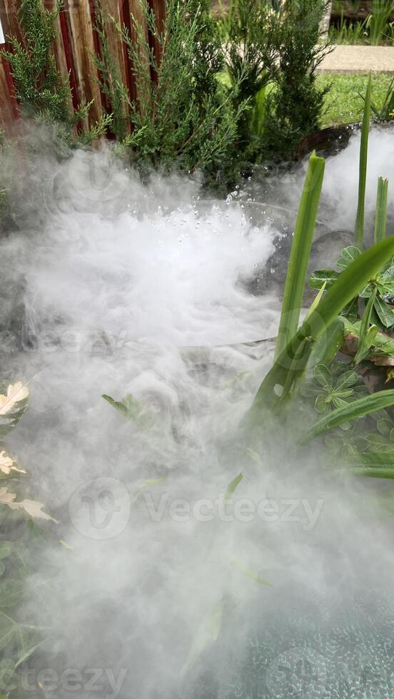 Steam coming out of a hot tub in a garden photo