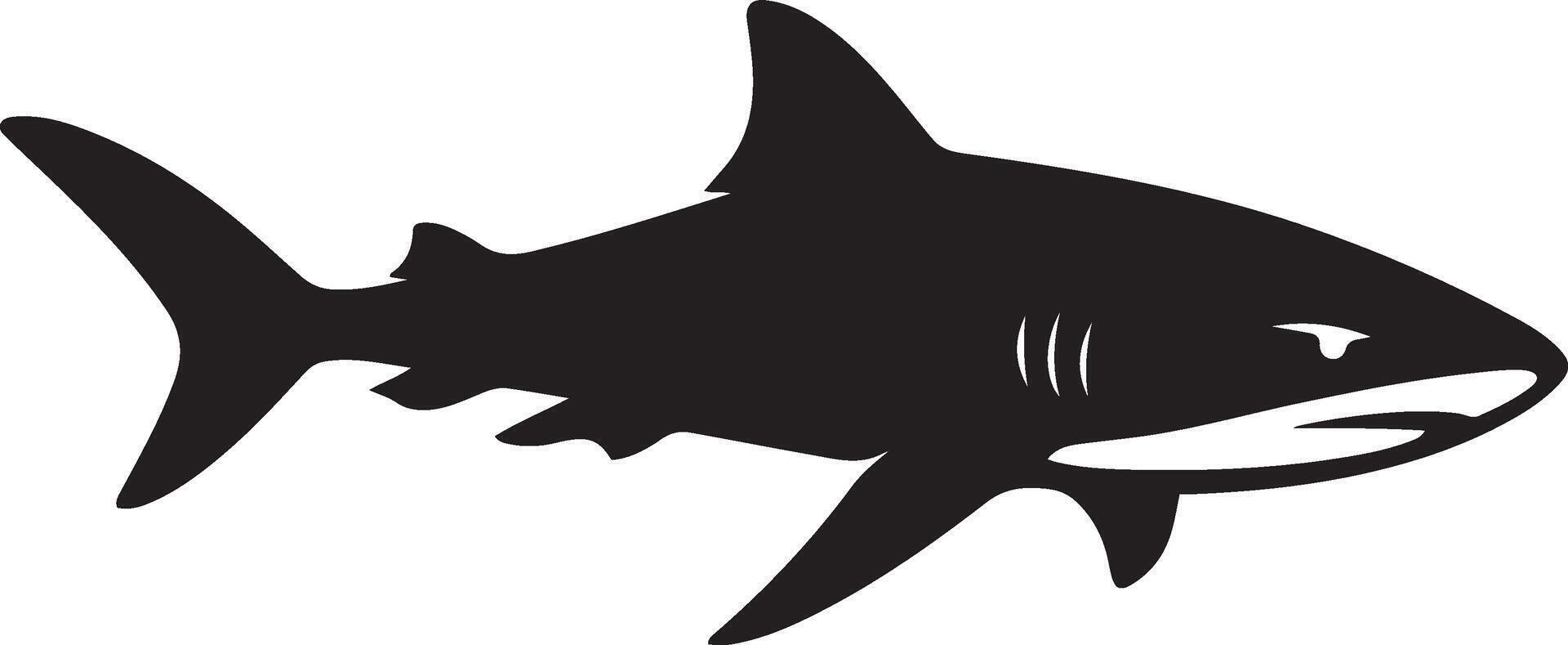 Shark silhouette powerful white background, Ocean predator black and white art vector