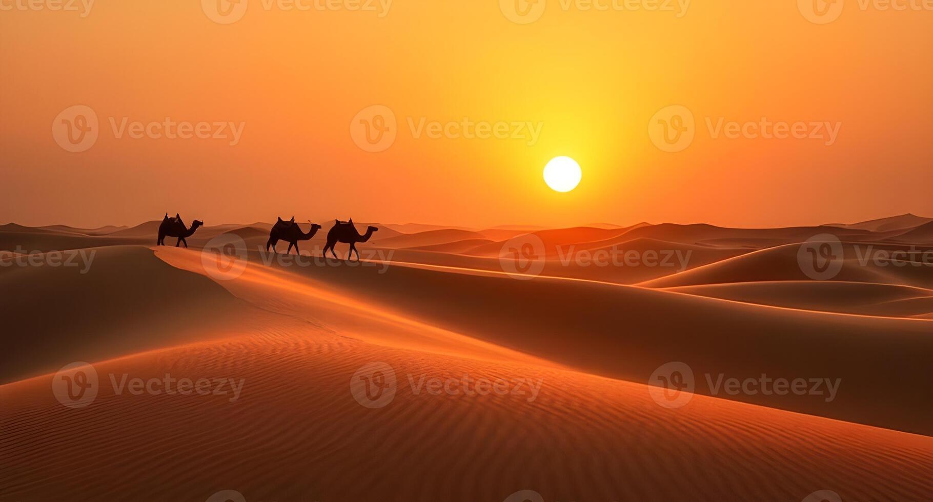 Charming sunset on the desert with camels photo