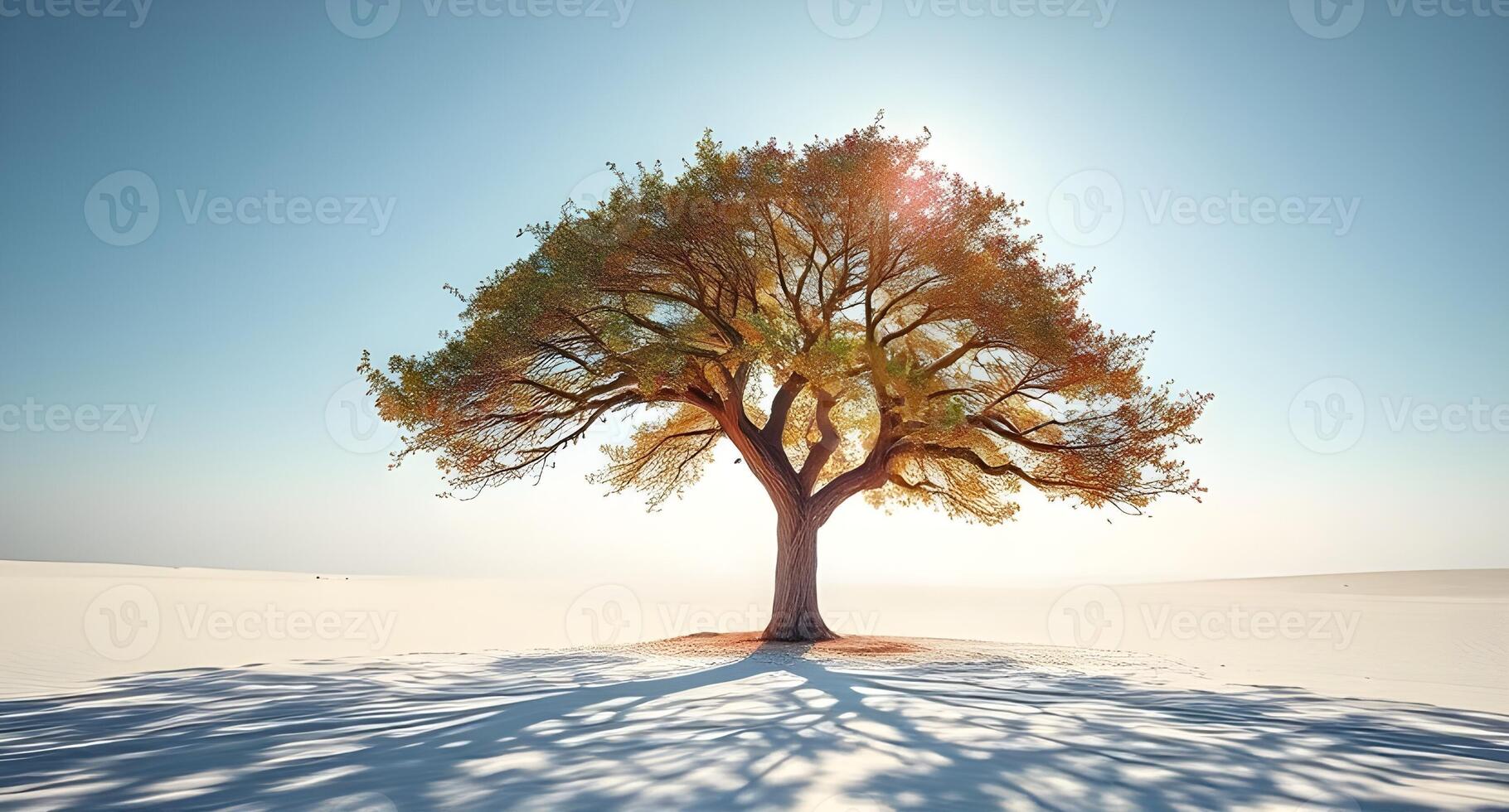 A tree is standing in the snow with the sun shining photo