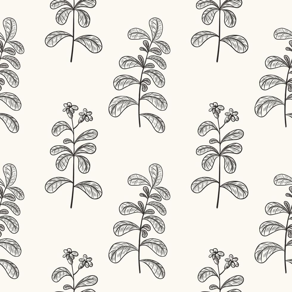 Stevia engraved plant on seamless pattern. Floral repeating background with freshness herbs, sugar leafs. Botanical doodle for textile, wrapping, paper. Food sweetener. Hand drawn illustration vector