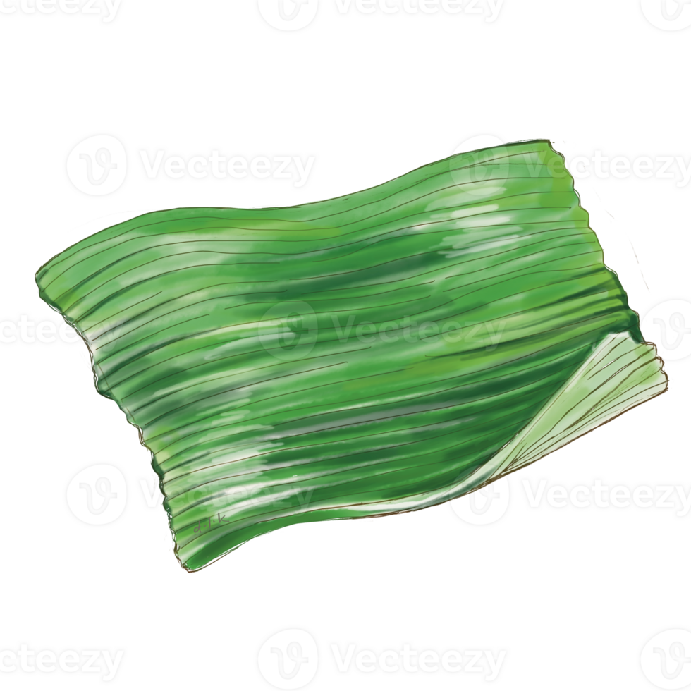 One flying banana leaf. Textured leaf hand drawing illustration. png