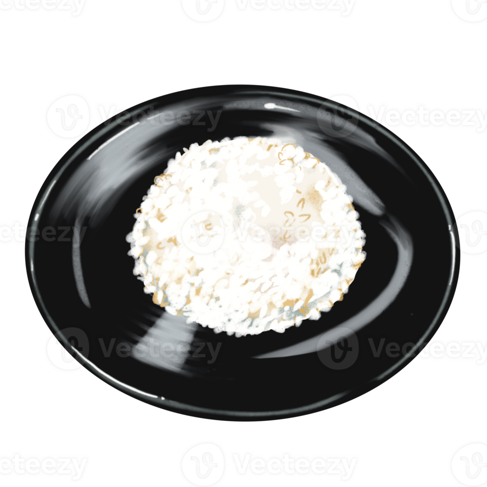 Rice served on the black plate illustration png