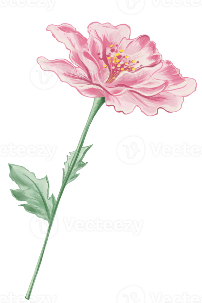 Decorative pink flower illustration png