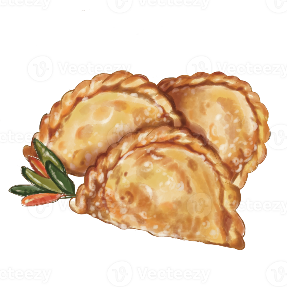 Indonesian fried puff pastry with chicken and vegetables filling, handdrawn illustration png