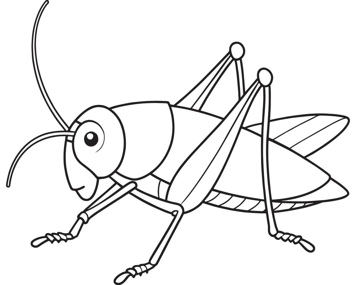 Katydid cartoon bug illustration for fun coloring and learning vector