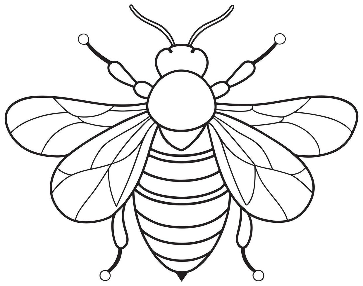 Bumblebee line art for insect study and printable coloring fun vector