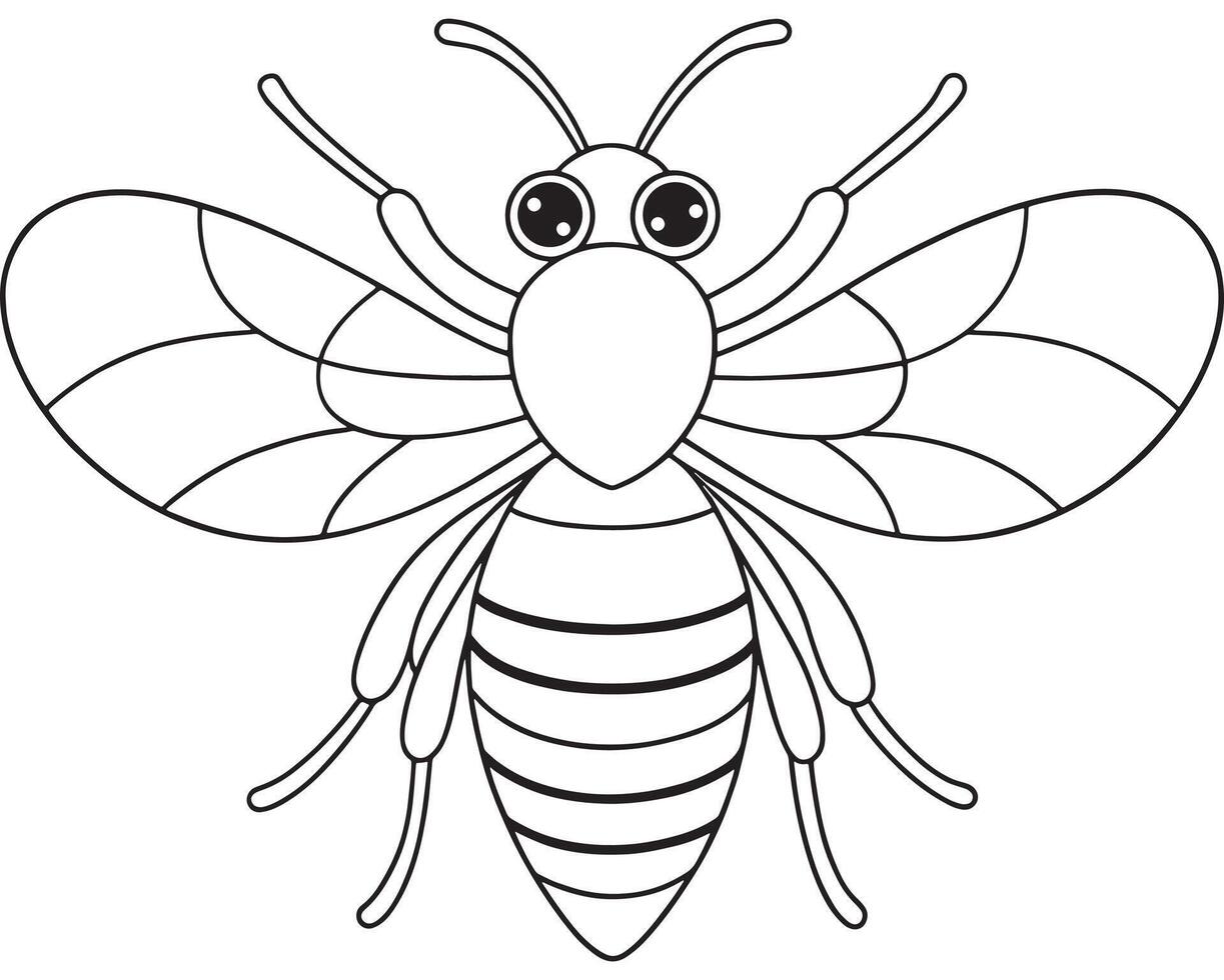 Bee cartoon drawing for coloring book fun and insect education vector