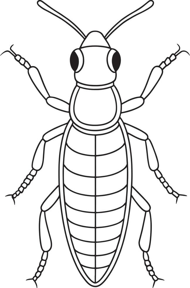 Rove beetle insect anatomy drawing for coloring and science books vector