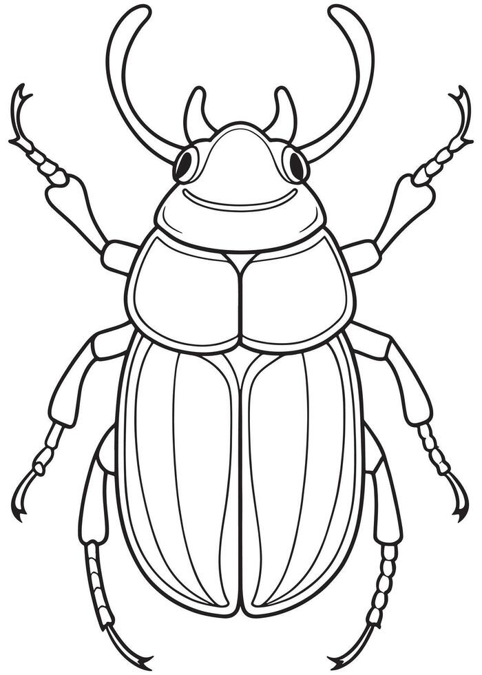 Rhinoceros beetle anatomy drawing for bug coloring and science learning vector