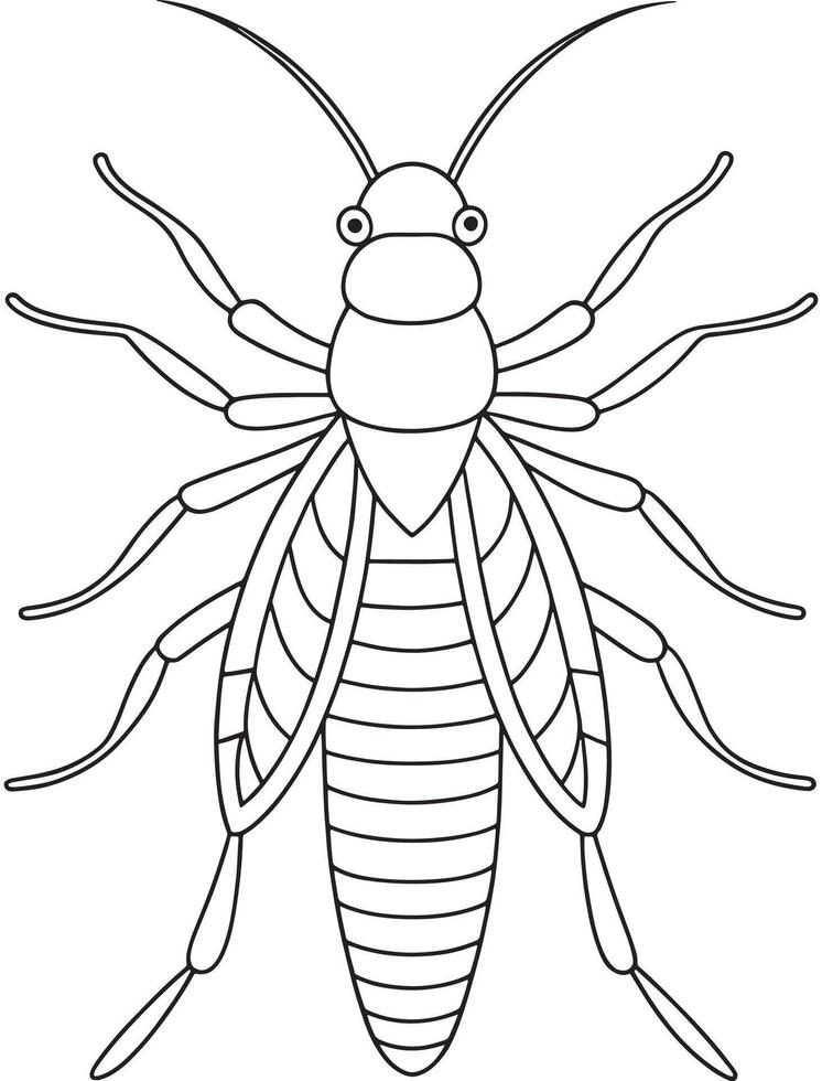 Stonefly insect drawing for nature learning and bug coloring books vector