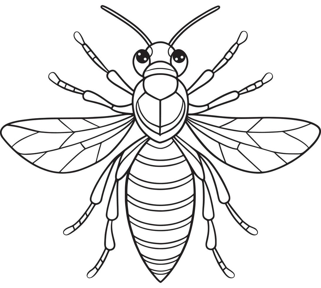 Hornet cartoon insect line art for coloring books and nature study vector