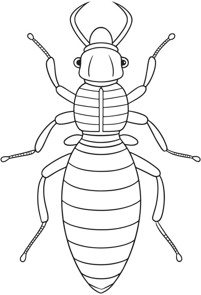 Termite insect drawing for classroom bug study and coloring activities vector