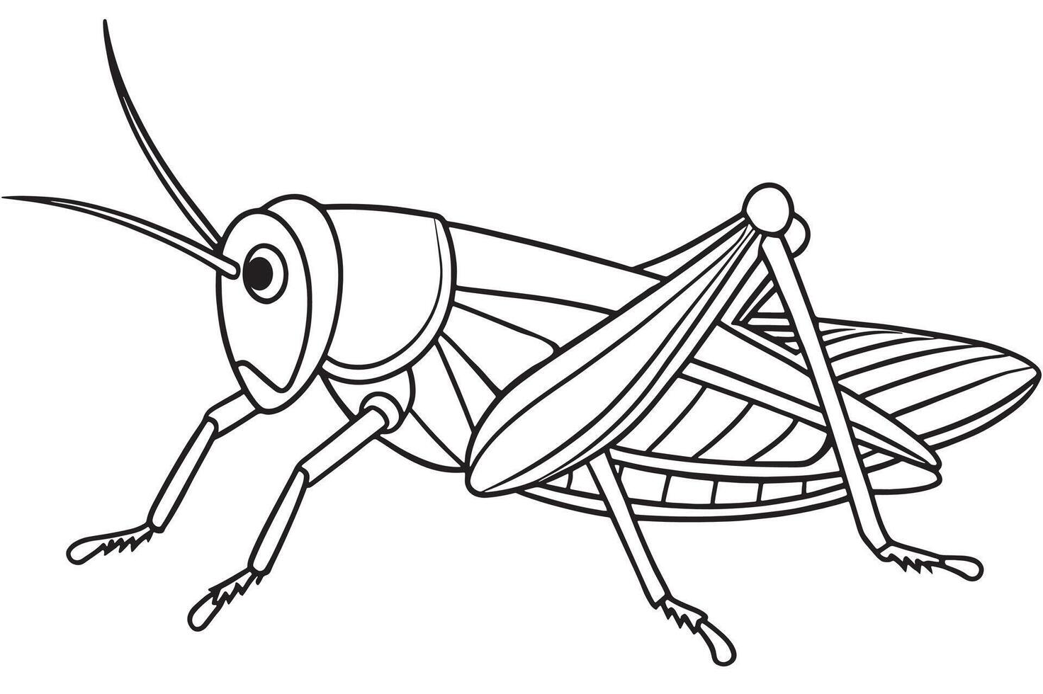Grasshopper bug line drawing for coloring and outdoor learning fun vector