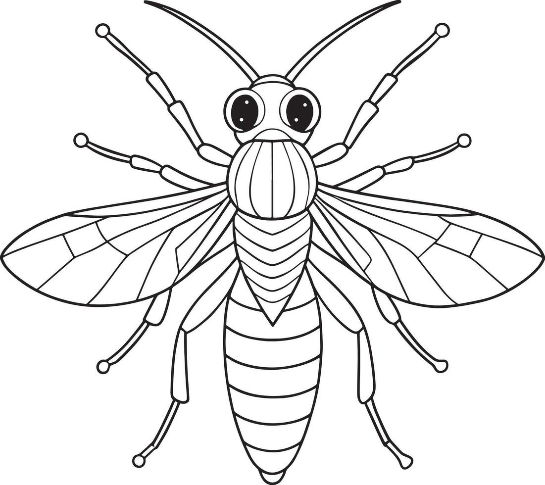 Sawfly insect anatomy drawing for kids learning and coloring activities vector