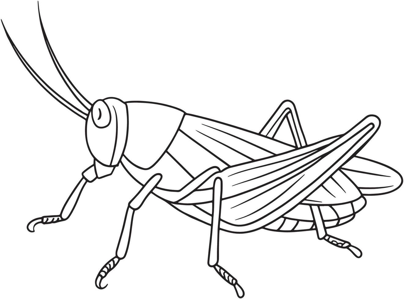 Locust bug drawing for kids coloring and nature learning materials vector