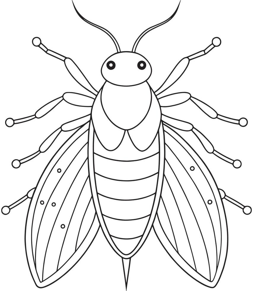 Whitefly insect drawing for coloring book insect learning pages vector