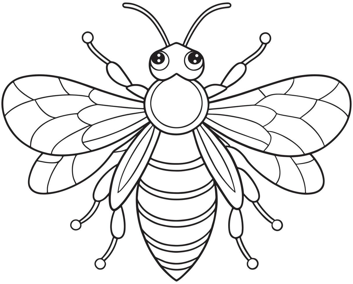 Honeybee cartoon insect drawing for coloring and classroom activities vector