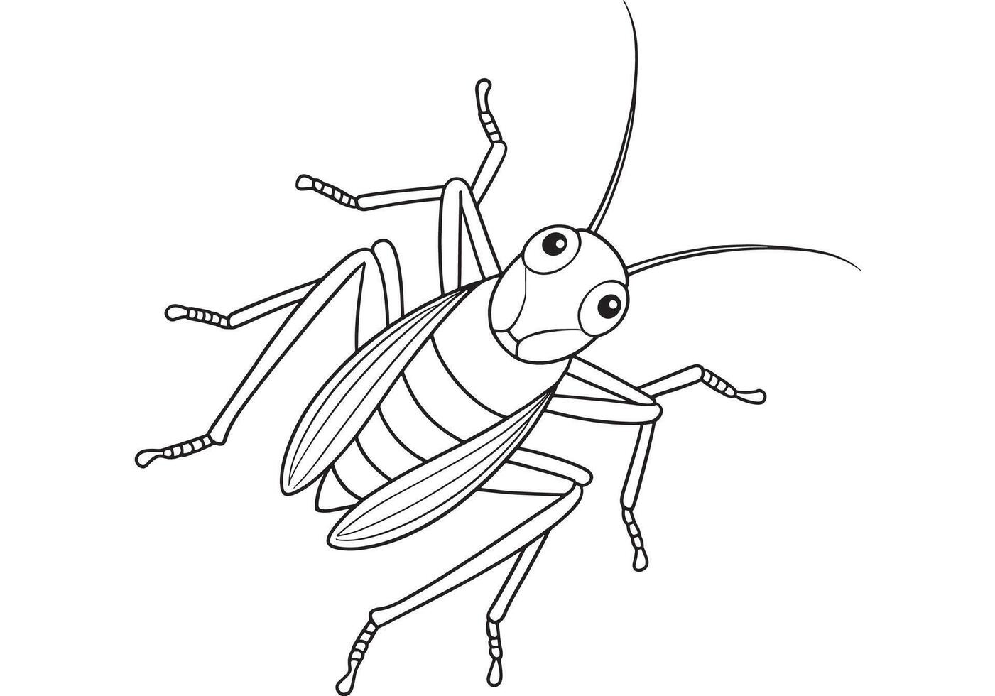 Cricket cartoon drawing for fun bug coloring and learning activity vector