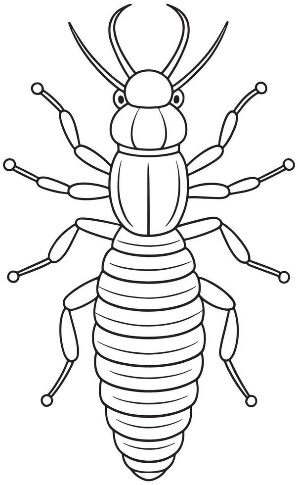 Termite bug line drawing for kids coloring and bug learning fun vector