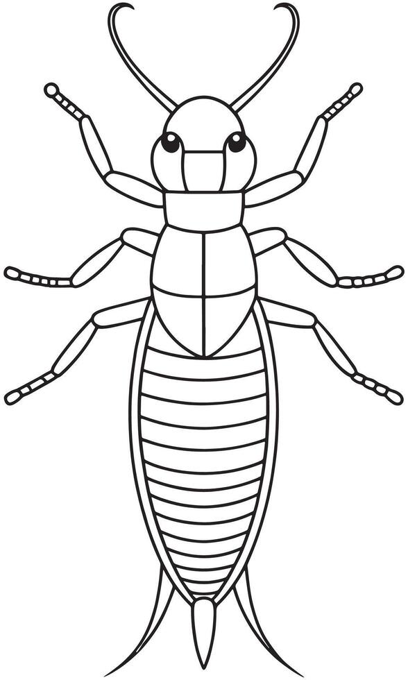 Earwig insect anatomy drawing for educational coloring page use vector