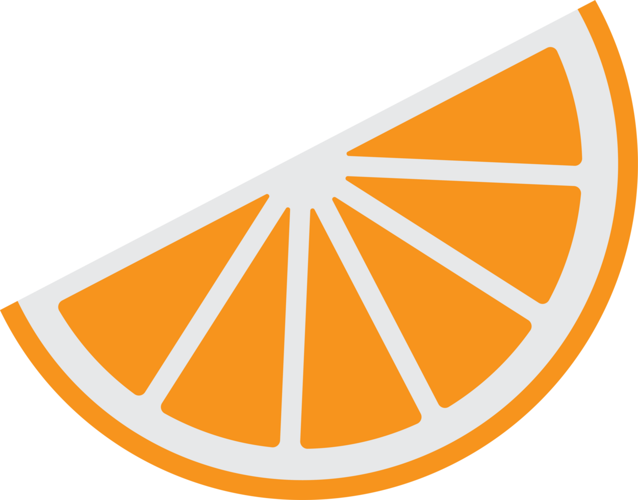 Illustration of a Single Orange Slice on a Clean png