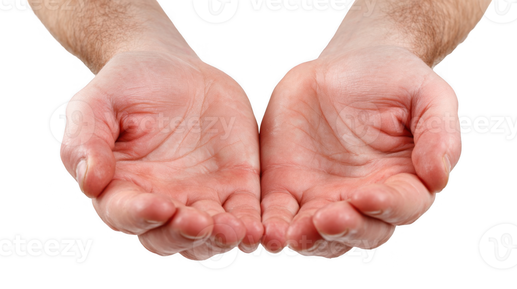 Two open hands showing empty palms on transparent background png