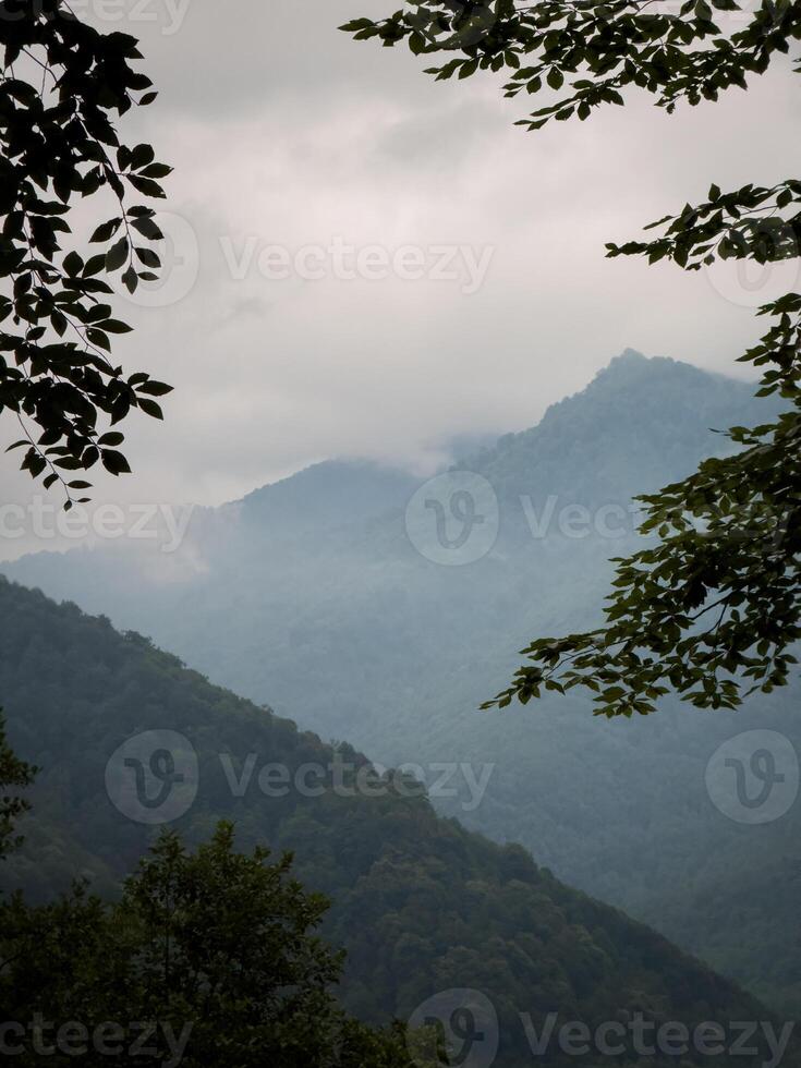 Mountain View Framed by Forest Foliage in Morning Mist photo