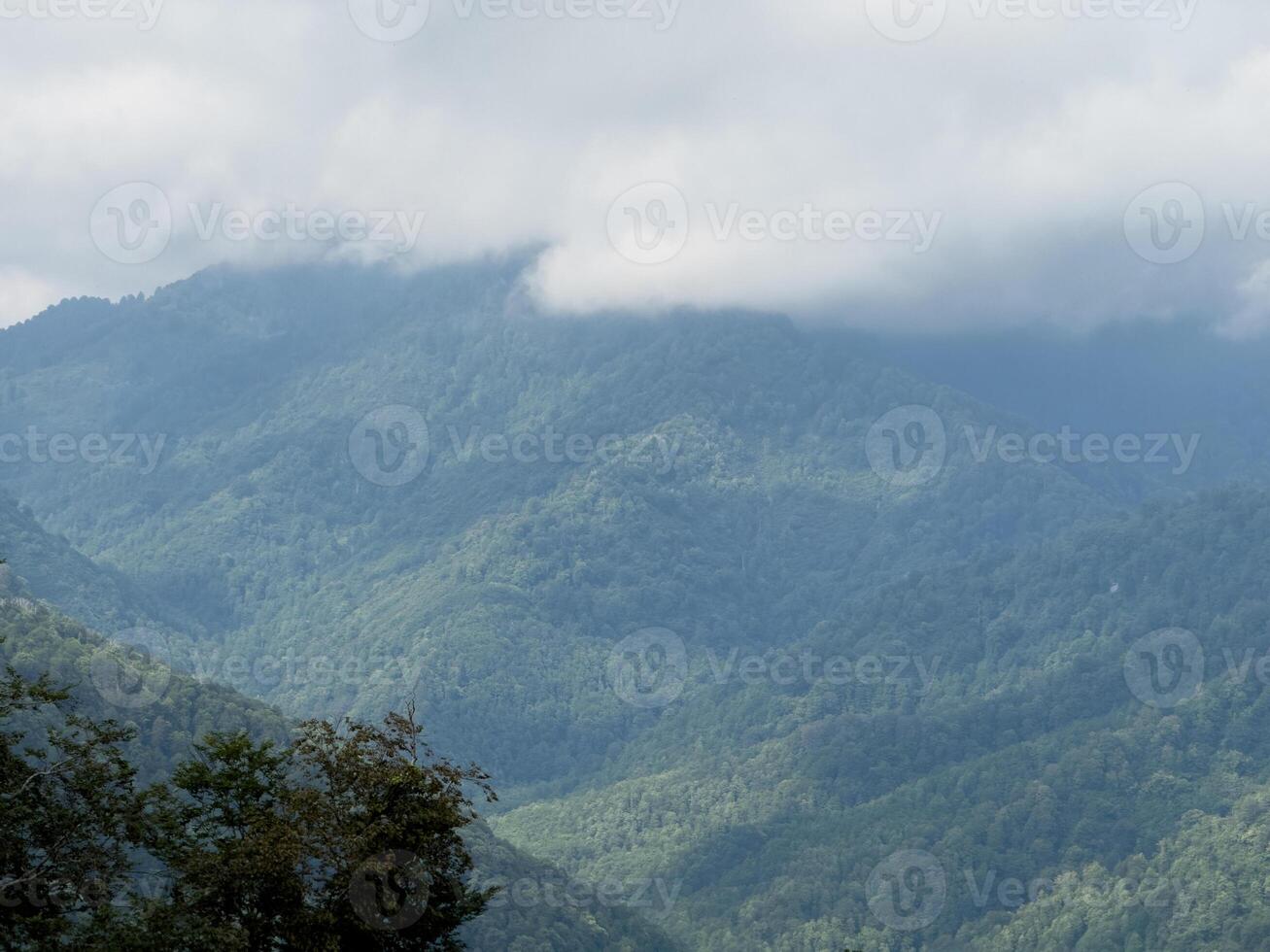 Mist-Shrouded Mountain Landscape with Dense Green Forest photo