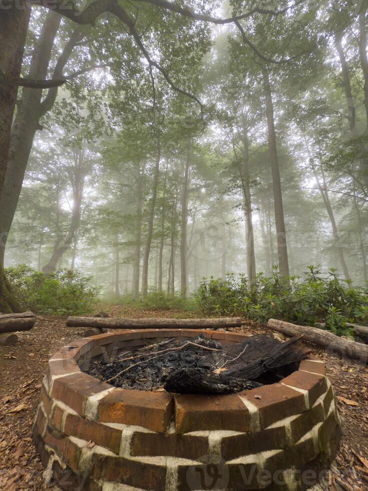 Brick Forest Fire Pit Surrounded by Mossy Logs in Misty Woodland photo