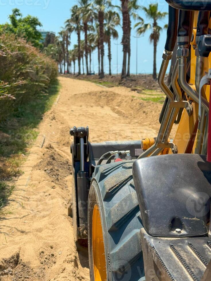 Close-Up of Excavator Wheel on Sandy Urban Path Flanked by Palm Trees photo