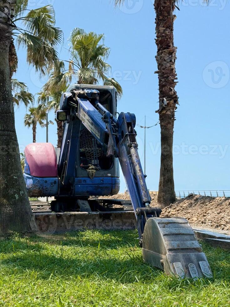 Colorful Excavator on Grassy Terrain with Palm Trees and Blue Sky photo