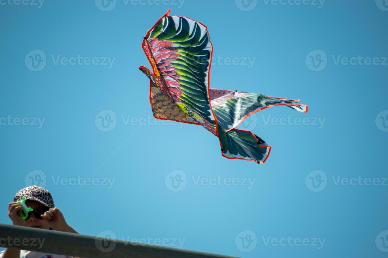 Kite Festival. Bird-Shaped Kite Soaring on a Clear Day with Person Holding Line photo