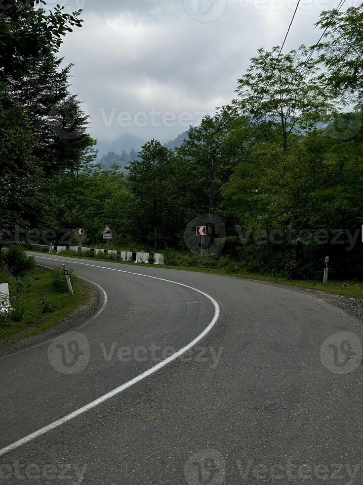 Winding Mountain Road Surrounded by Lush Greenery photo
