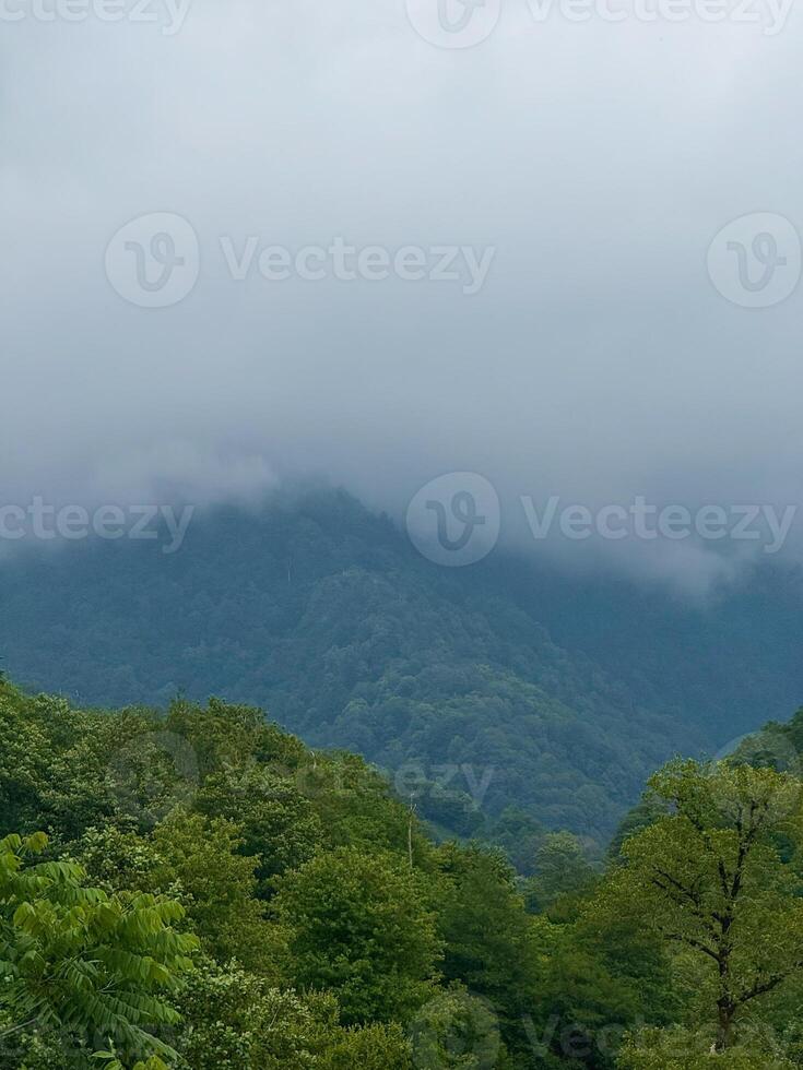 Misty Mountain Landscape Overlooking Dense Green Forest photo