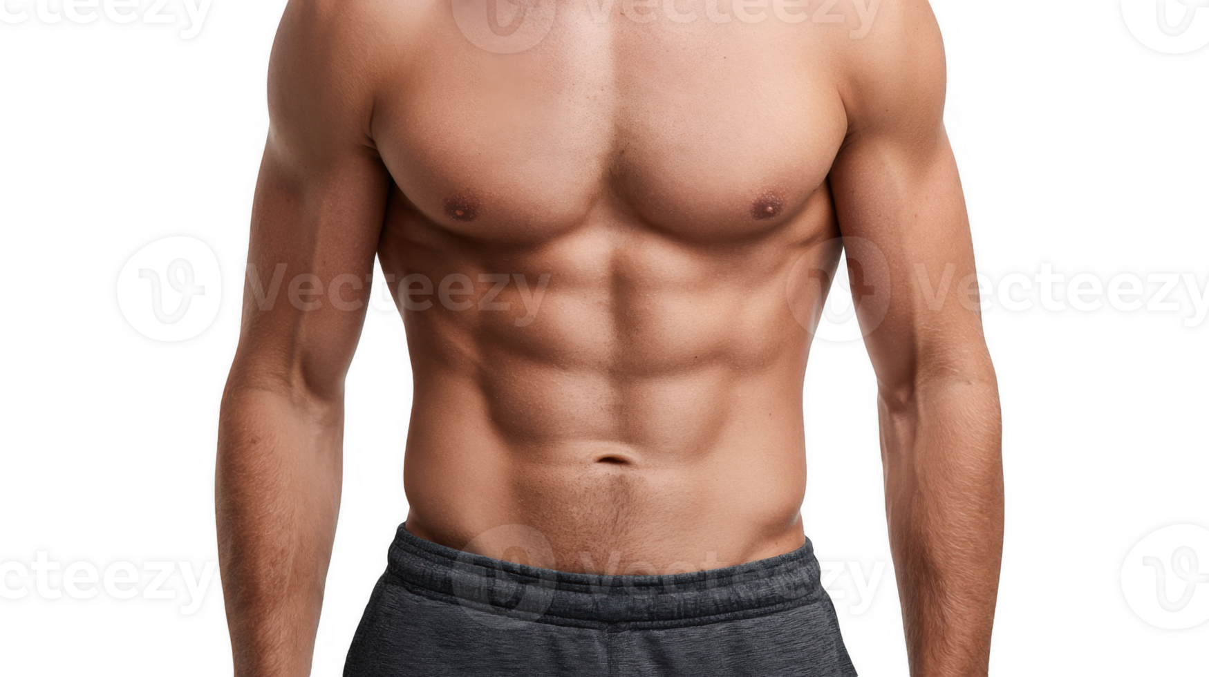 Muscular torso of a man showing his abs on transparent background png